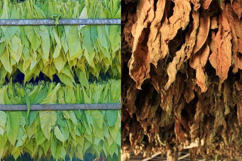 1663294692301522.jpg 1.jpg